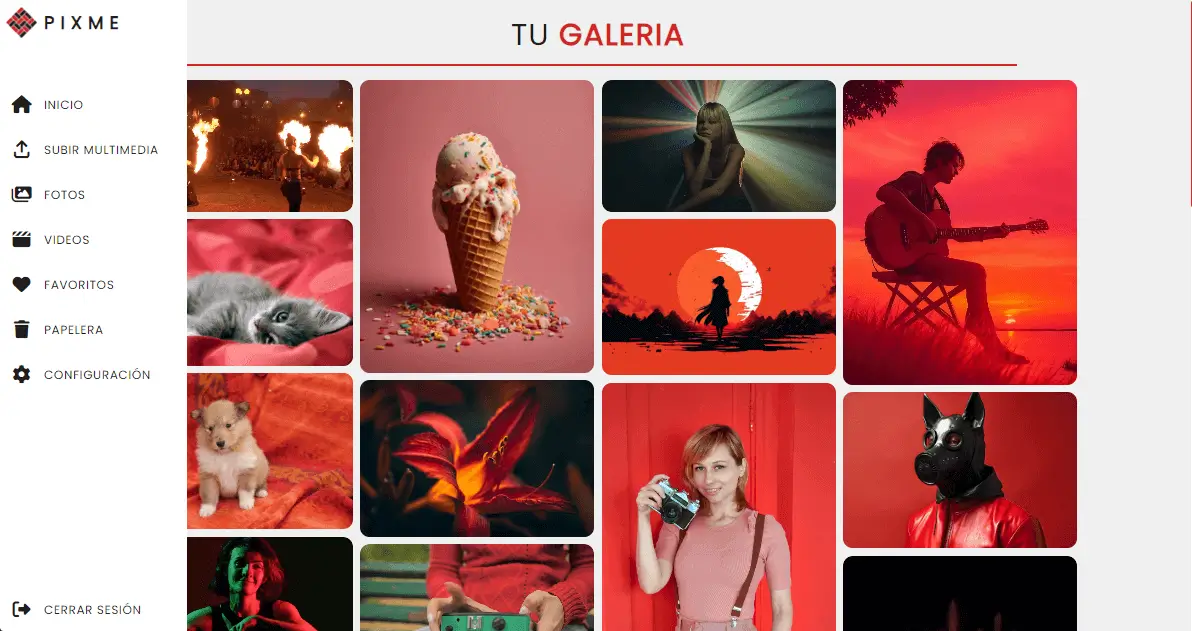 Online multimedia gallery